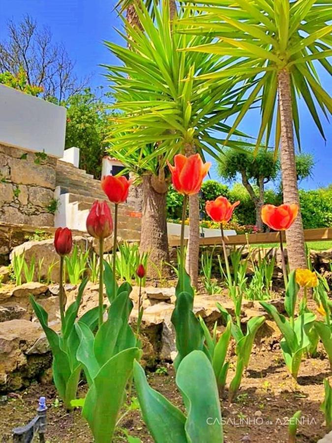 Casalinho Da Azenha - Charm House Hotel Синтра Екстериор снимка